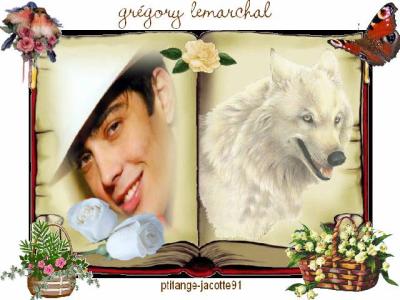 gregory lemarchal